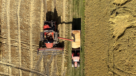 Ein Großteil der Produkte, die in den Hotels der Falkensteiner Hotelgruppe verarbeitet werden, kommt von regionalen Produzenten. (Fische werden frisch gefangen. (Foto: © Hotels & Residences)