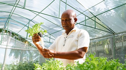 Im 130 Quadratmeter großen Chef’s Garden des Sheraton Maldives Full Moon Resort & Spa baut Landschaftsgärtner Ali Thakan Gemüse an.