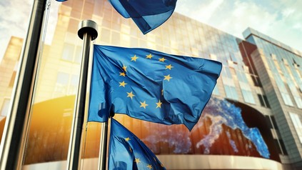 Das EU-Parlament
