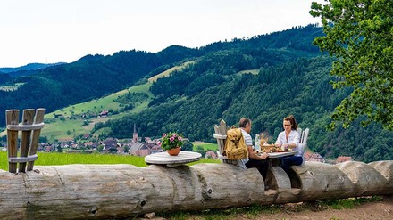 Zwei Gäste speisen auf einem Baumstamm