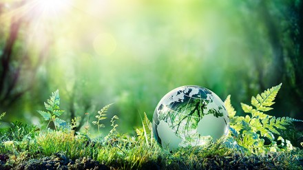 Grüne Pflanzen mit Erdkugel aus Glas darauf