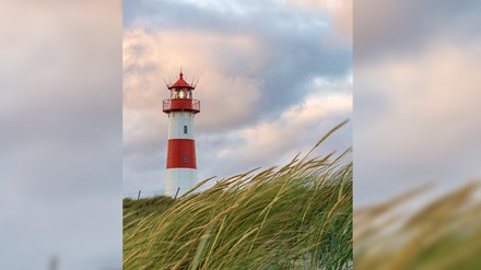 Leuchtturm mit Dünengras davor