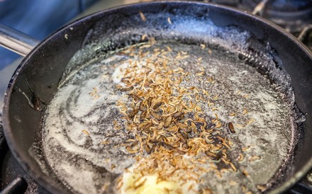 Gebratene Insekten in einer Pfanne