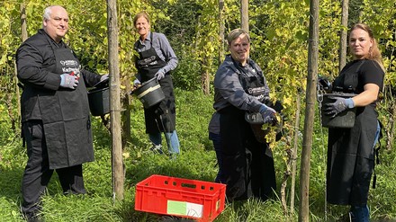 Sie freuten sich über die Weinlese im Sonnenschein (v. l.):  Küchenchef Thomas Meischner, Sommelière Martina Hocke, Silbermundschenk Constanze Pellen und Hausdame Nicole Katsadorous