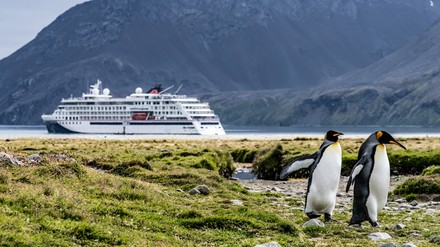 Zwei Pinguine im Vordergrund, ein Passagierschiff im Hintergrund