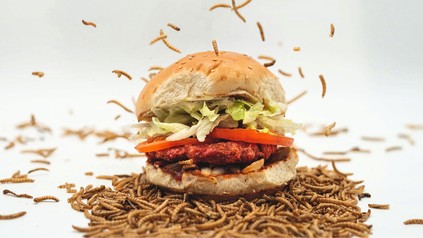 Der „Wormwich“