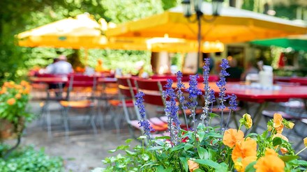 Blumen im Vordergrund, Biergarten im Hintergrund