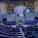 Bundestag
