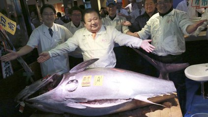 Thunfisch für 600.000 Euro