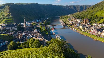 Weinberge im Moseltal bei Cochem in Rheinland-Pfalz
