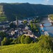 Weinberge im Moseltal bei Cochem in Rheinland-Pfalz