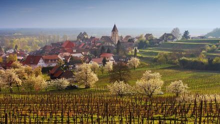 Der Schwarzwald denkt ländlichen Tourismus neu.