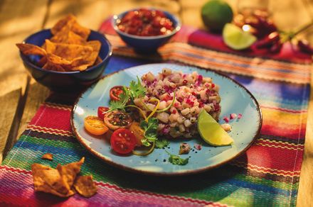 Matjes Ceviche Limette