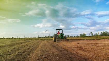 Bauer auf Traktor auf Feld