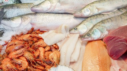 Diverse Fischspezialitäten in einer Tiefkühltruhe