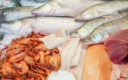 Zumindest beim Gammelhai wird auch das sonst gut bestückte Sortiment von Eishken Estate passen müssen… (© Eishken Estate)
Diverse Fischspezialitäten in einer Tiefkühltruhe
