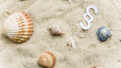 Ein Strand mit Muscheln und einem Paragraphensymbol