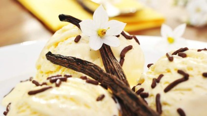 Vanilleeis mit zwei echten Vanilleschoten