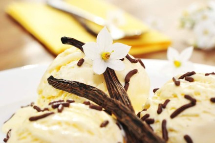Vanilleeis mit zwei echten Vanilleschoten