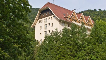 Haus im Wald