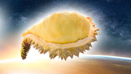Eine Durianfrucht im Weltall
