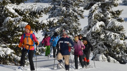 Schneewanderer im Almtal in Oberösterreich