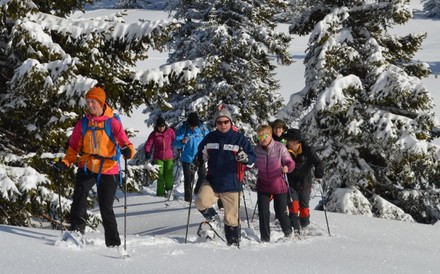 Schneewanderer im Almtal in Oberösterreich