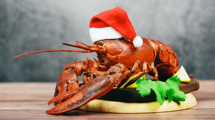 Ein Hummer mit Weihnachtsmütze auf