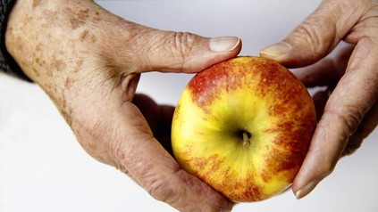 Hände einer älternen Person halten einen reifen Apfel