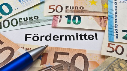 Schriftzug "Fördermittel" umgeben von Euroscheinen