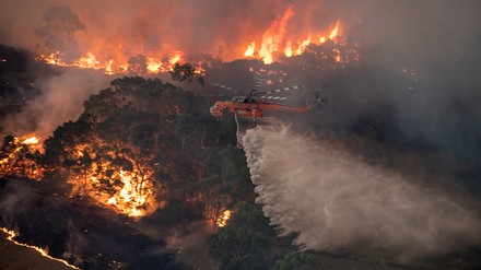 Ein Hubschrauber versucht ein brennendes Waldgebiet zu löschen