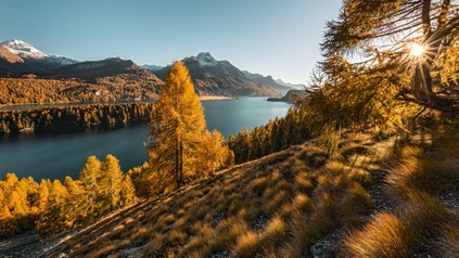 Ein Herbstpanorama aus der Schweiz