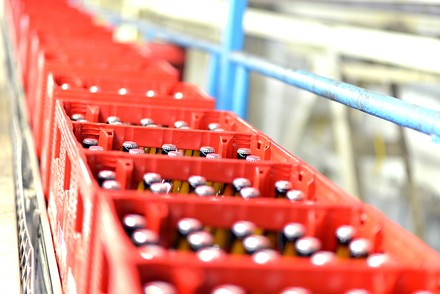 Bierkästen auf einem Fließband