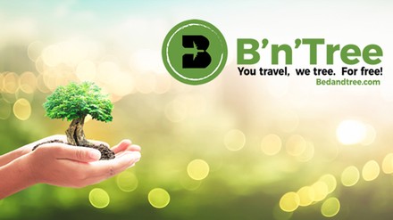 Drei Bäume pro Bett: Best Western Hotels bieten klimafreundliche Buchungsoption (Foto: © Best Western)