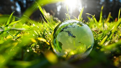 Eine grüne Wiese