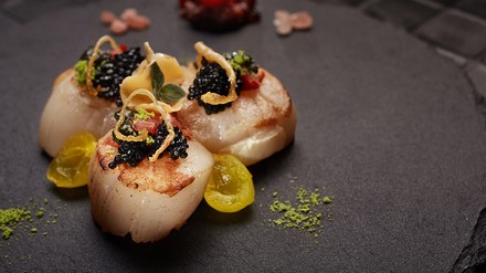 Drei Jakobsmuscheln auf einem Teller