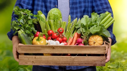 Eine Kiste Lebensmittel