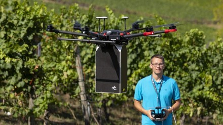 Eine Drohne fliegt über einen Weinberg