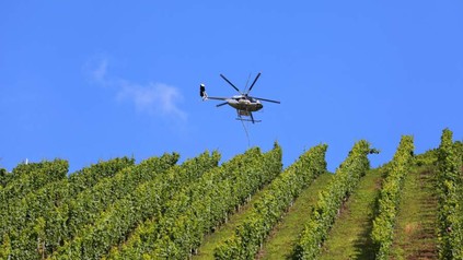 Hubschrauber fliegt über Weinfeld