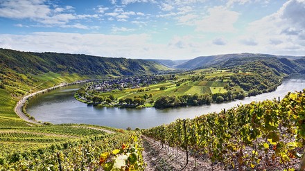 Moselschleife mit Weinbergen bei der Ortsgemeinschaft Bremm in Rheinland-Pfalz