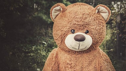 Teddybär