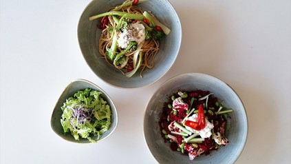 Drei Teller mit ausgewogenem Essen