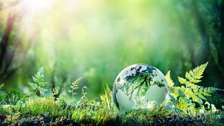 Erdkugel im Grünen als Zeichen der Nachhaltigkeit