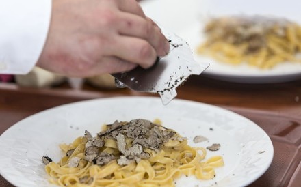 Weiße Trüffel wird über Pasta gehobelt
