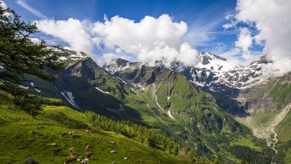 Alpenpanorama