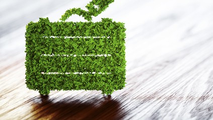 Ein Koffer aus Gras