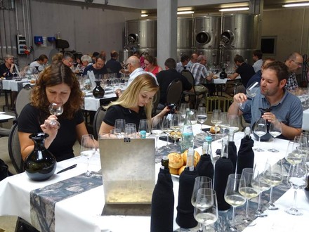 Qualitätstest der Mosel-Weinwerbung