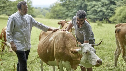 Mit ihren gastronomischen Konzepten zeigt die Initiative der „Bio-Spitzenköche“, dass Nachhaltigkeit für die Gastronomie auch ein Erfolgsfaktor ist. (Foto: © BÖLN)
Initiative der „Bio-Spitzenköche“