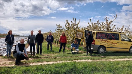 Die Mitarbeiter des Atrium Hotel Mainz beim Spargelstechen
