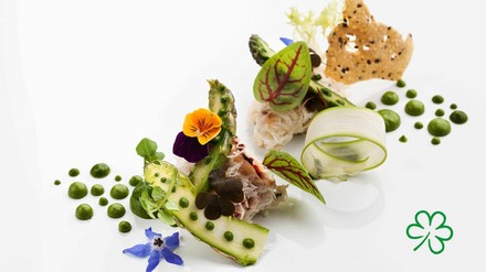 Im aktuellen Guide Michelin Deutschland 2020 haben 18 Restaurants eine Auszeichnung für ihr nachhaltiges Kochen und Wirtschaften erhalten. (Foto: ©Guide Michelin; Troyce Hoffman/stock.adobe.com)
Fine Dining Signature Dish mit dem grünen Kleeblatt von Guide Michelin